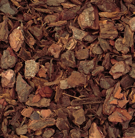 Pine Bark